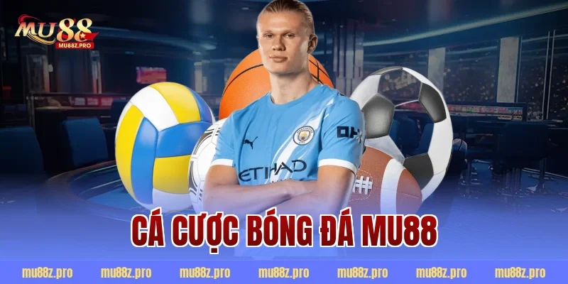 cá cược bóng đá mu88