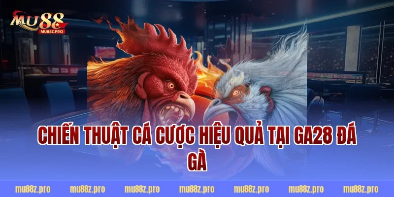 Chiến thuật cá cược hiệu quả tại ga28 đá gà