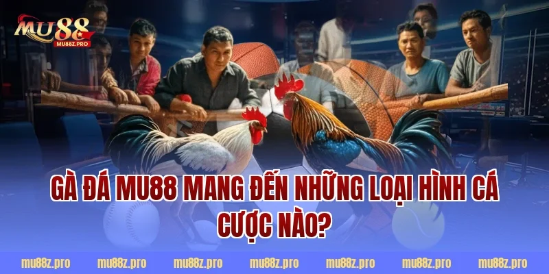 Gà đá mu88 mang đến những loại hình cá cược nào?