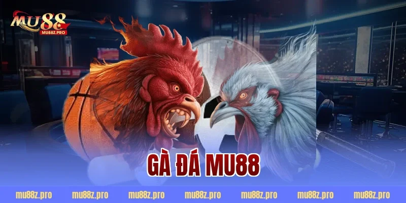 Gà đá mu88
