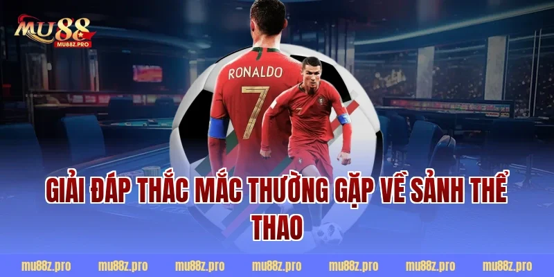 Giải Đáp Thắc Mắc Thường Gặp Về Sảnh Thể Thao