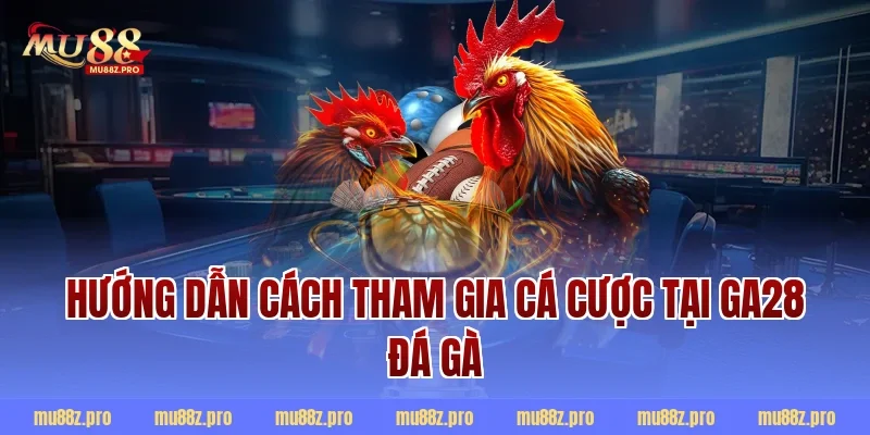 Hướng dẫn cách tham gia cá cược tại ga28 đá gà