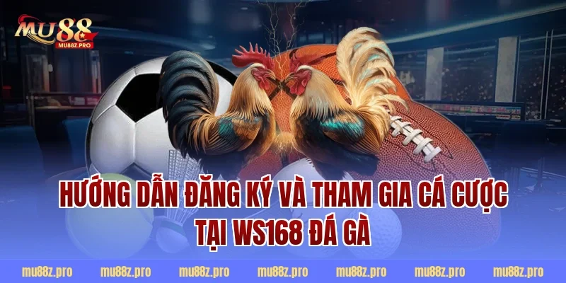 Hướng dẫn đăng ký và tham gia cá cược tại WS168 đá gà