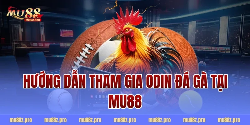 Hướng dẫn tham gia Odin đá gà tại MU88