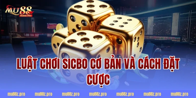 Luật chơi Sicbo cơ bản và cách đặt cược