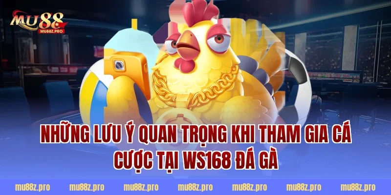 Những lưu ý quan trọng khi tham gia cá cược tại WS168 đá gà