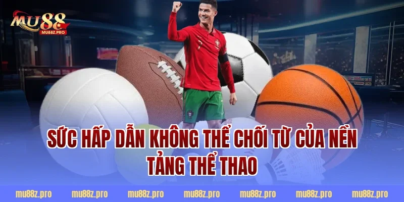 Sức Hấp Dẫn Không Thể Chối Từ Của Nền Tảng Thể Thao