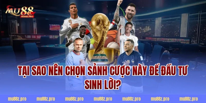 Tại Sao Nên Chọn Sảnh Cược Này Để Đầu Tư Sinh Lời?