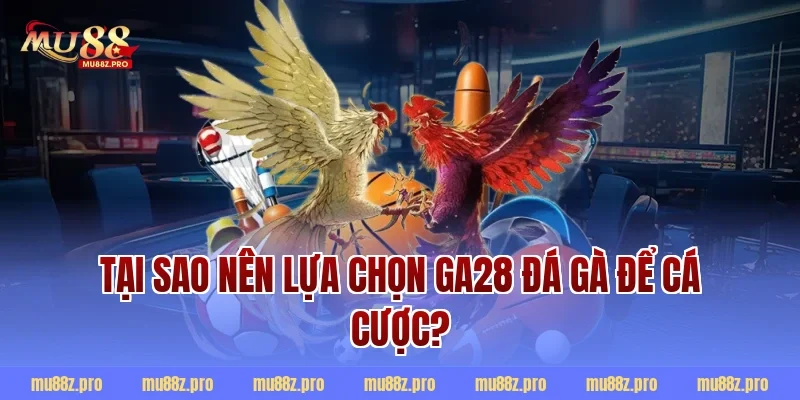 Tại sao nên lựa chọn ga28 đá gà để cá cược?