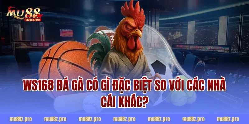 WS168 đá gà có gì đặc biệt so với các nhà cái khác?